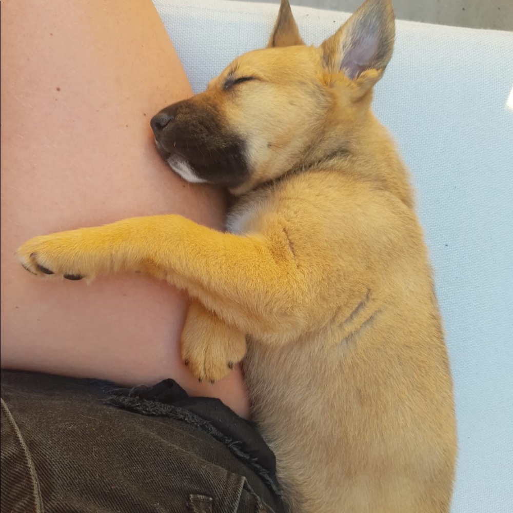 Meet your Posher, Lisa